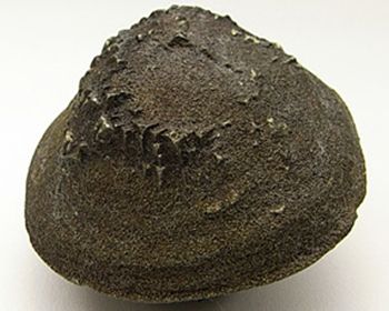 ボージーストーン の原石